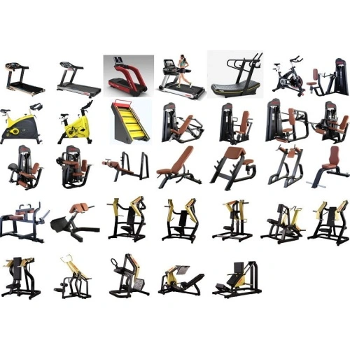 200㎡ full gym equipment set China Manufacturer